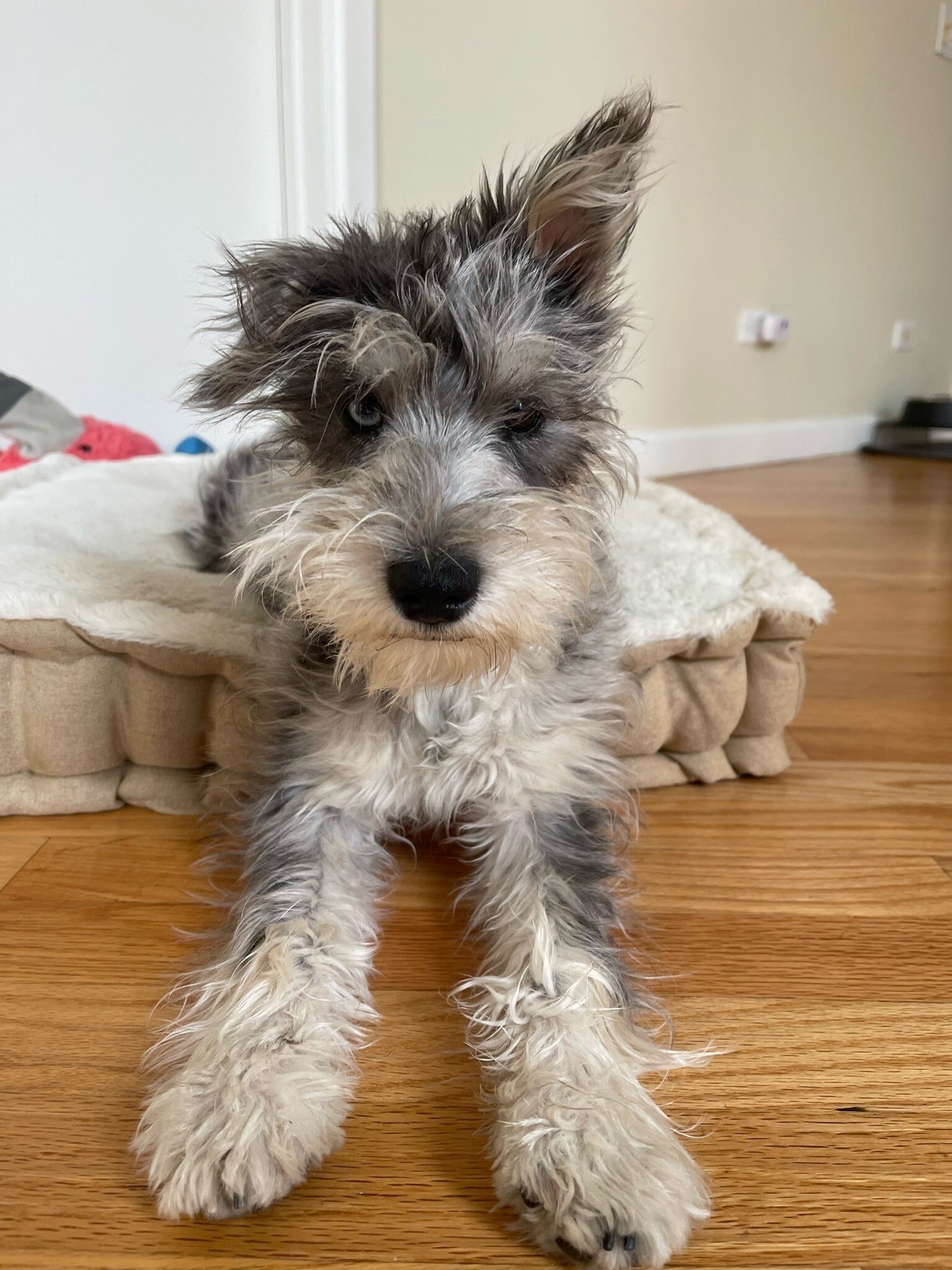 Monica Diaz Crafty best place to work 