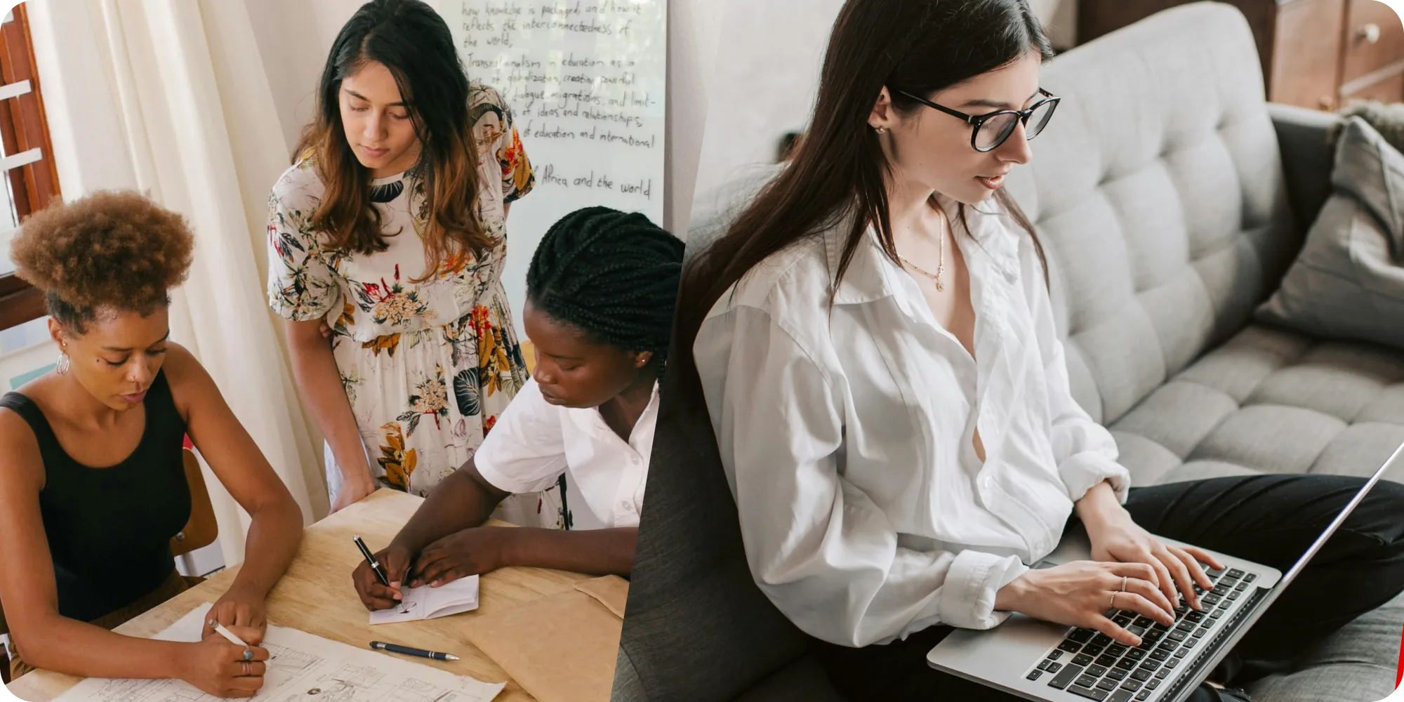 The Dolphin Effect: A Mindset for Creating a Flexible Workplace