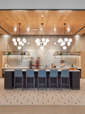 Chicago Healthcare Company