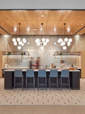 Chicago Healthcare Company