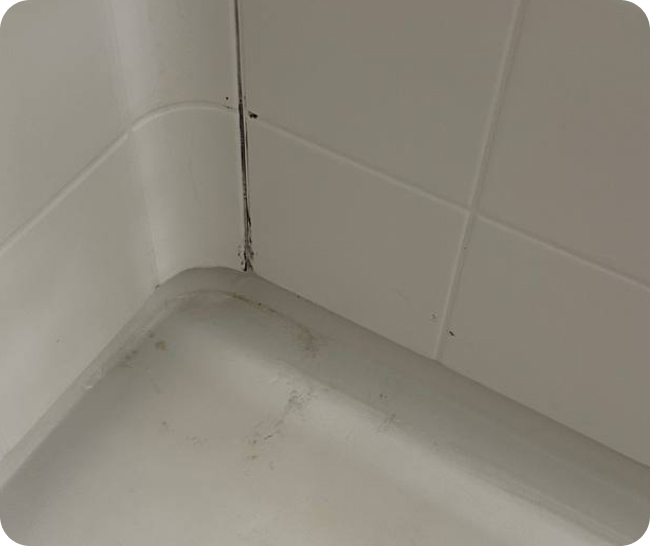 Deep cleaning of the bathroom