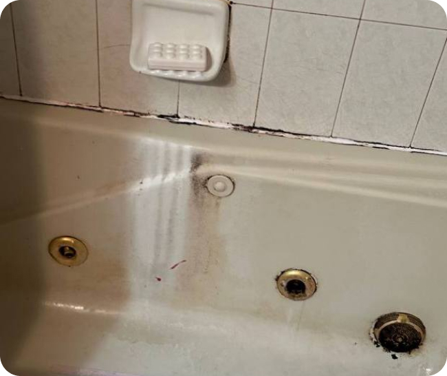 Сleaning the bathroom