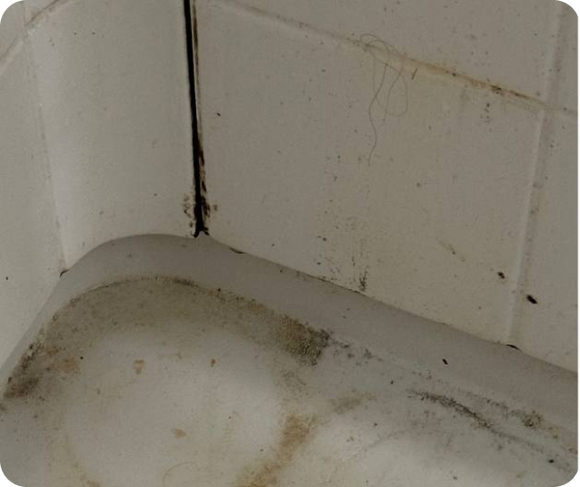 Deep cleaning of the bathroom