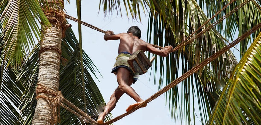 14N15D Amazing Sri Lanka