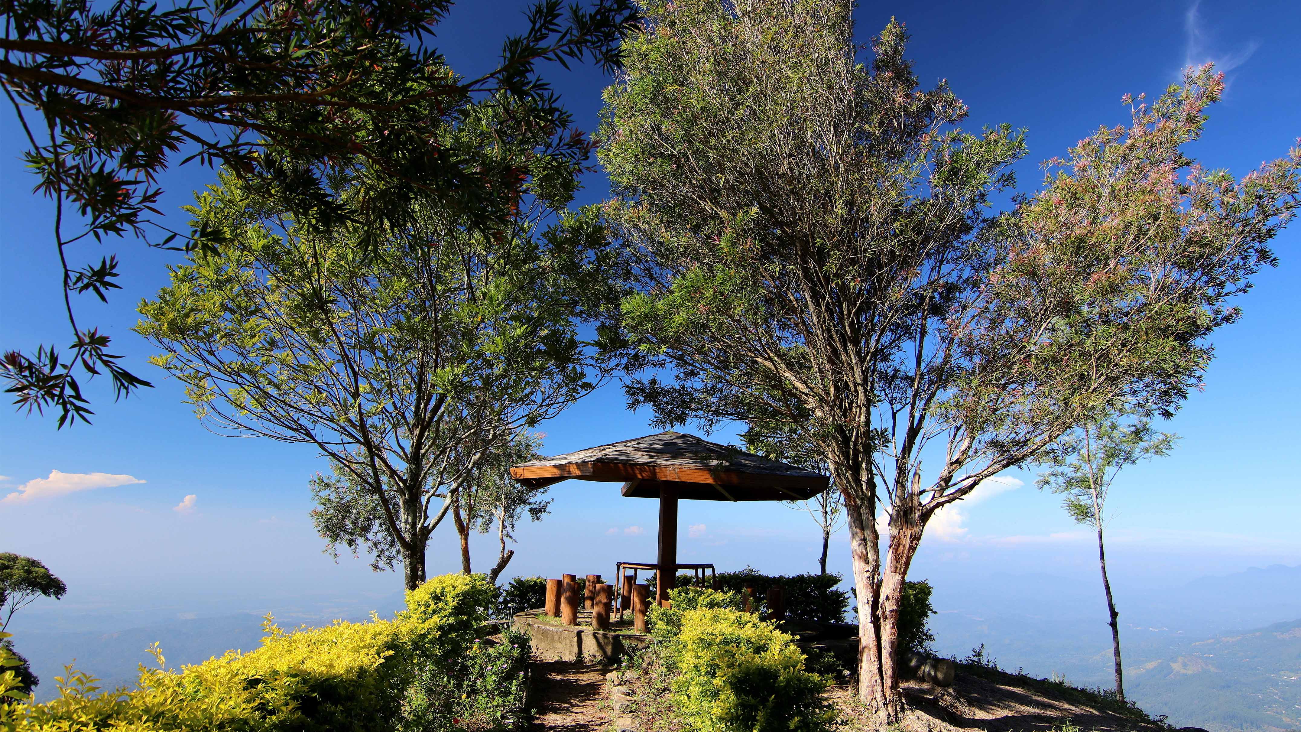 Top Scenic Plains in Sri Lanka for Hiking Lovers