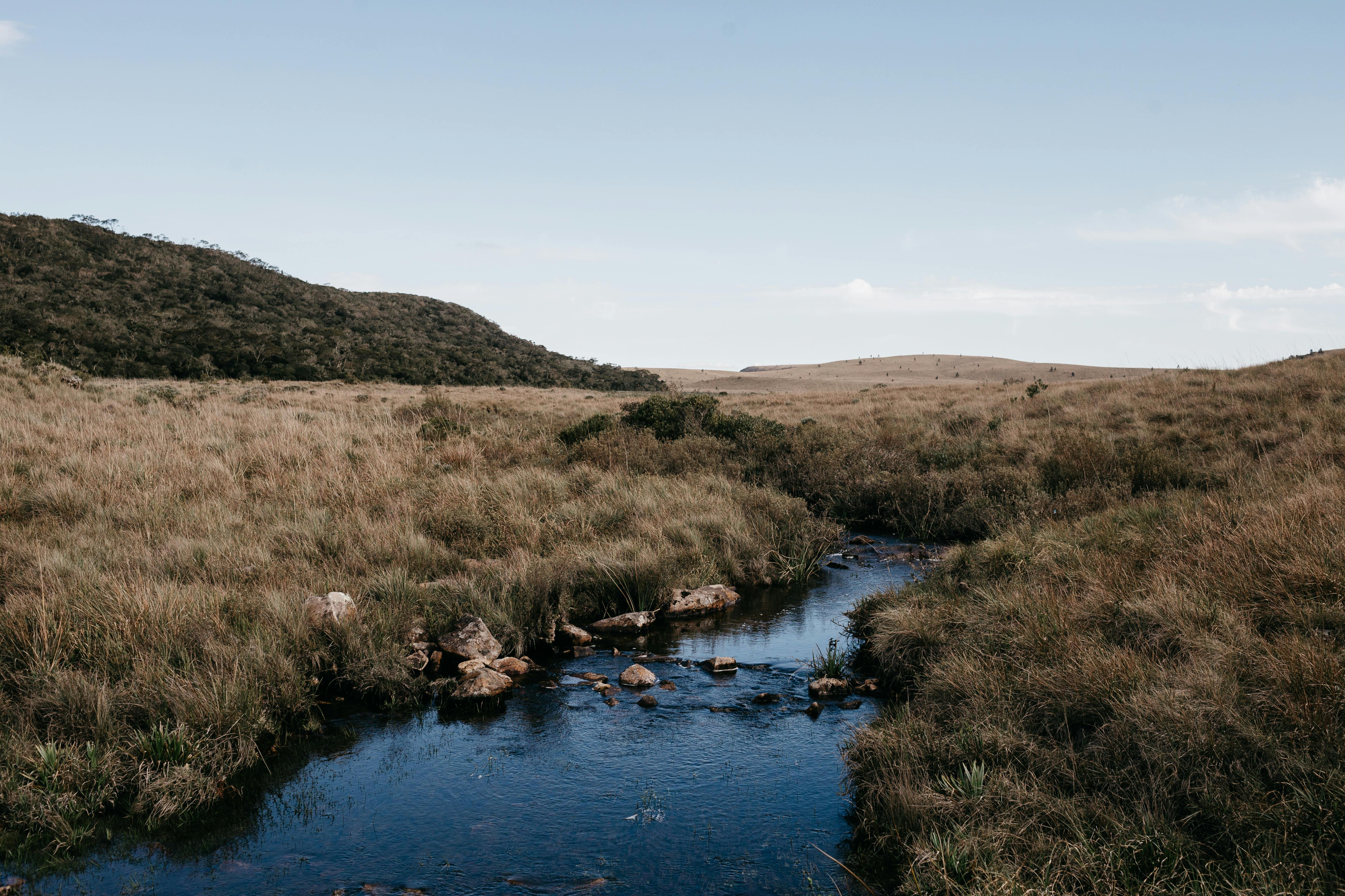 water creek horton plains