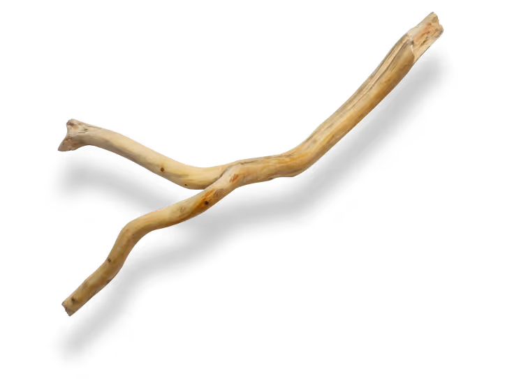 wood stick