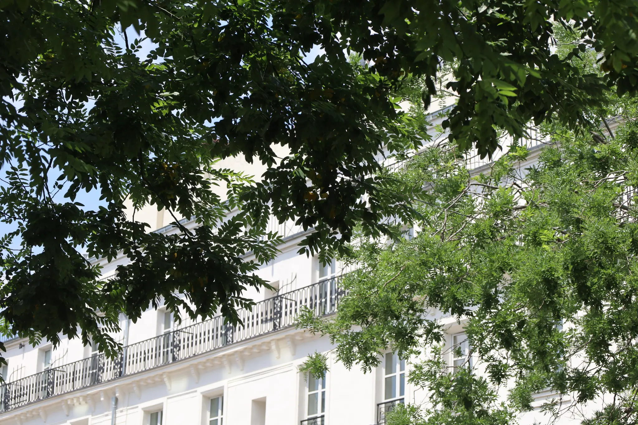Rénovation complète d'une façade d'immeuble haussmannien à Paris