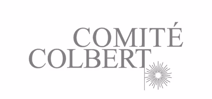 Comité Colbert logo with gray serif text and a small starburst symbol.