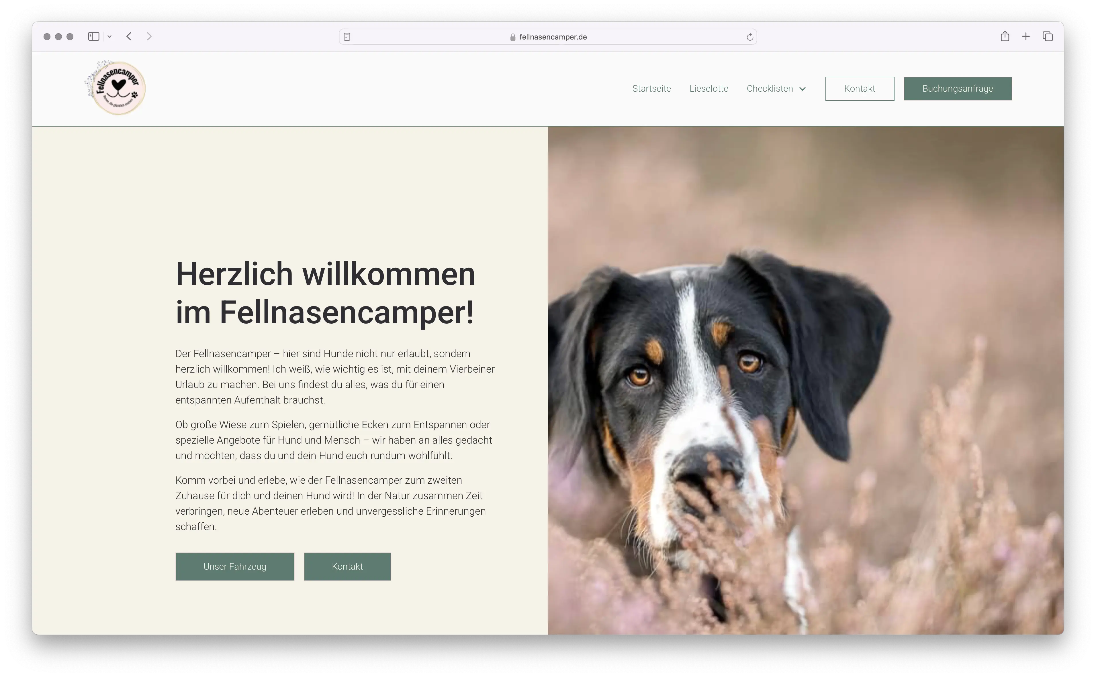 Screenshot des Headers von der Website der Wohnmobilvermietung "Fellnasencamper"