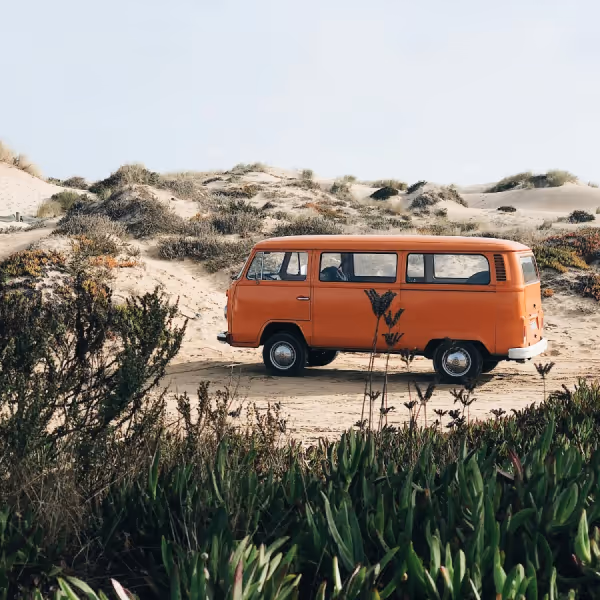 Oranger VW-Bus parkt auf sandigem Weg in einer Dünenlandschaft mit grünen Pflanzen im Vordergrund.