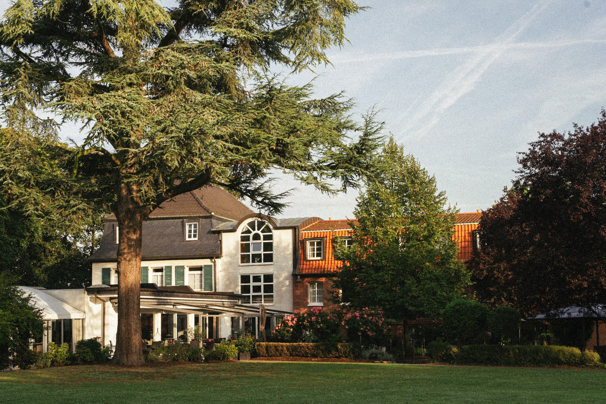 Fine Dining im Park – Ein Sommerabend mit dem LEU