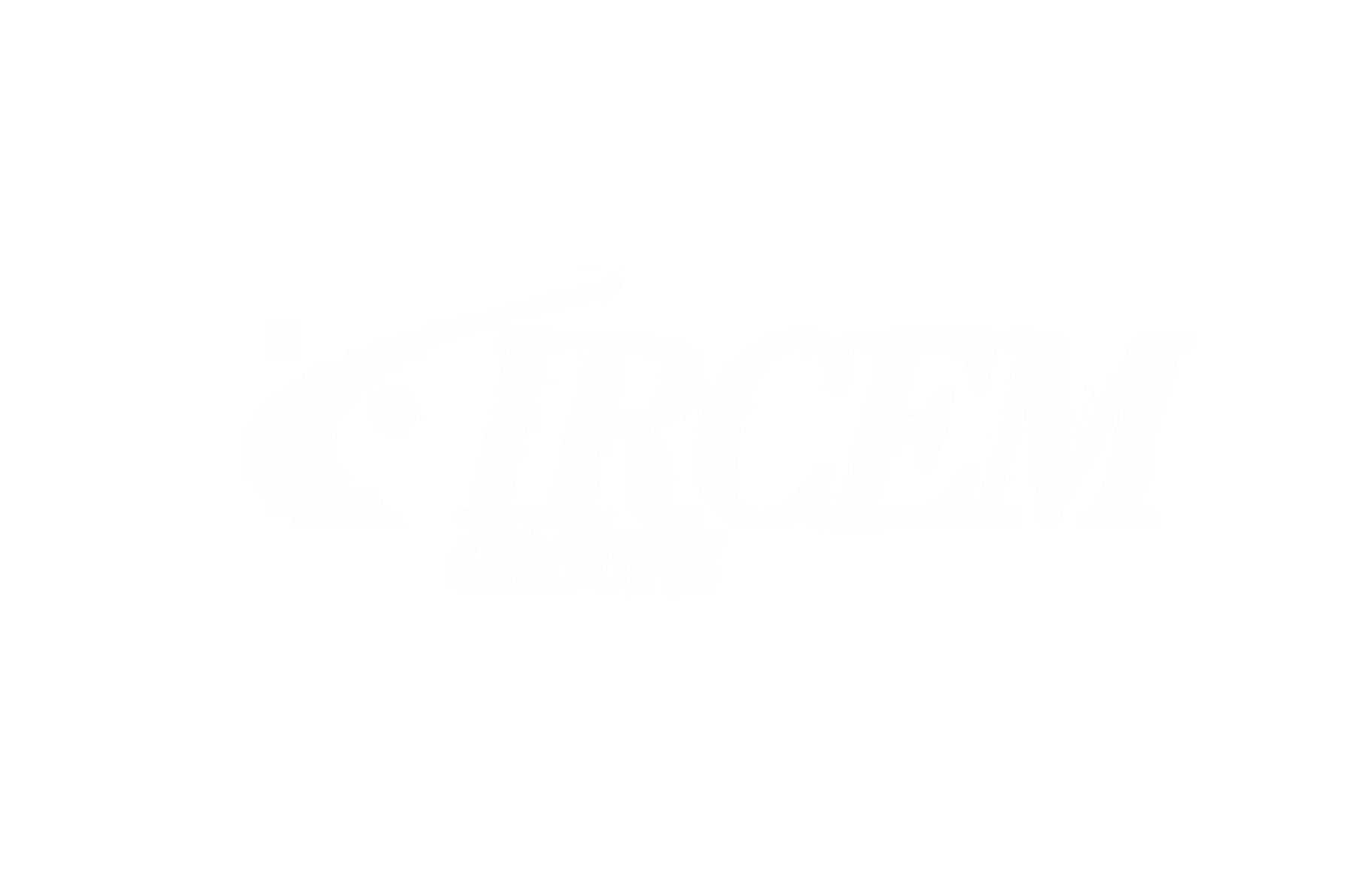 Logo du groupe IRCEM avec un symbole graphique à gauche du texte.