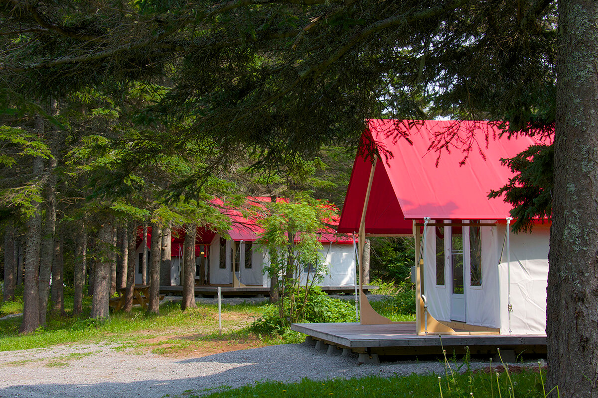 Quelques cabines de Glamping au milieu de la forêt.