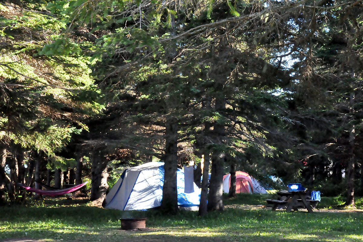 Quelques tentes sous les jeux de lumières d'une forêt luxuriante à Percé