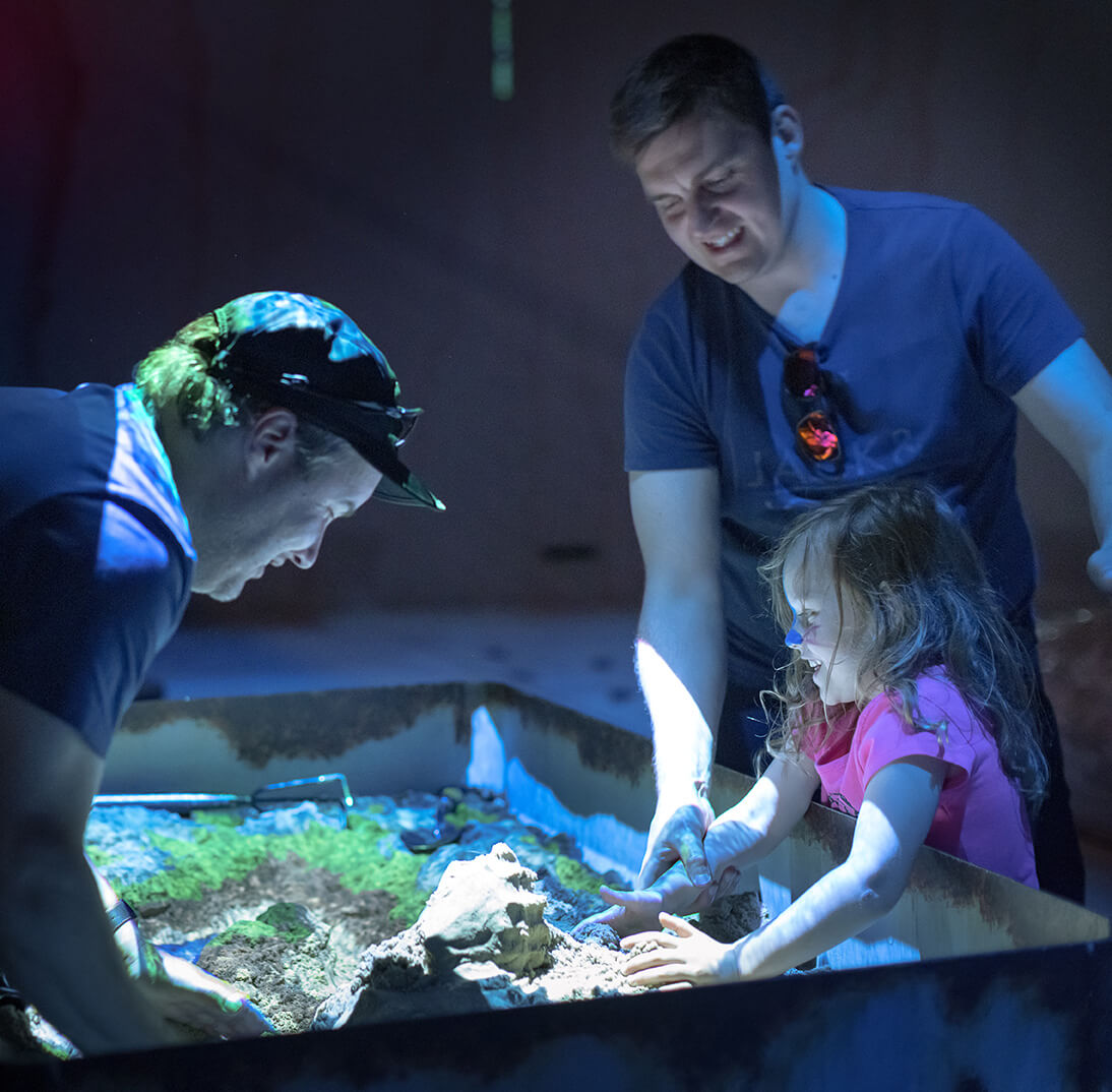 Des adultes et enfants se passionnent pour une exposition immersive