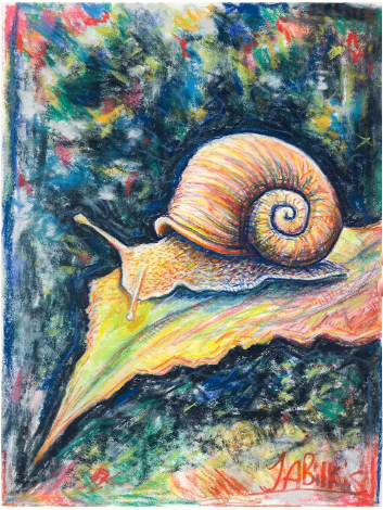 Snail