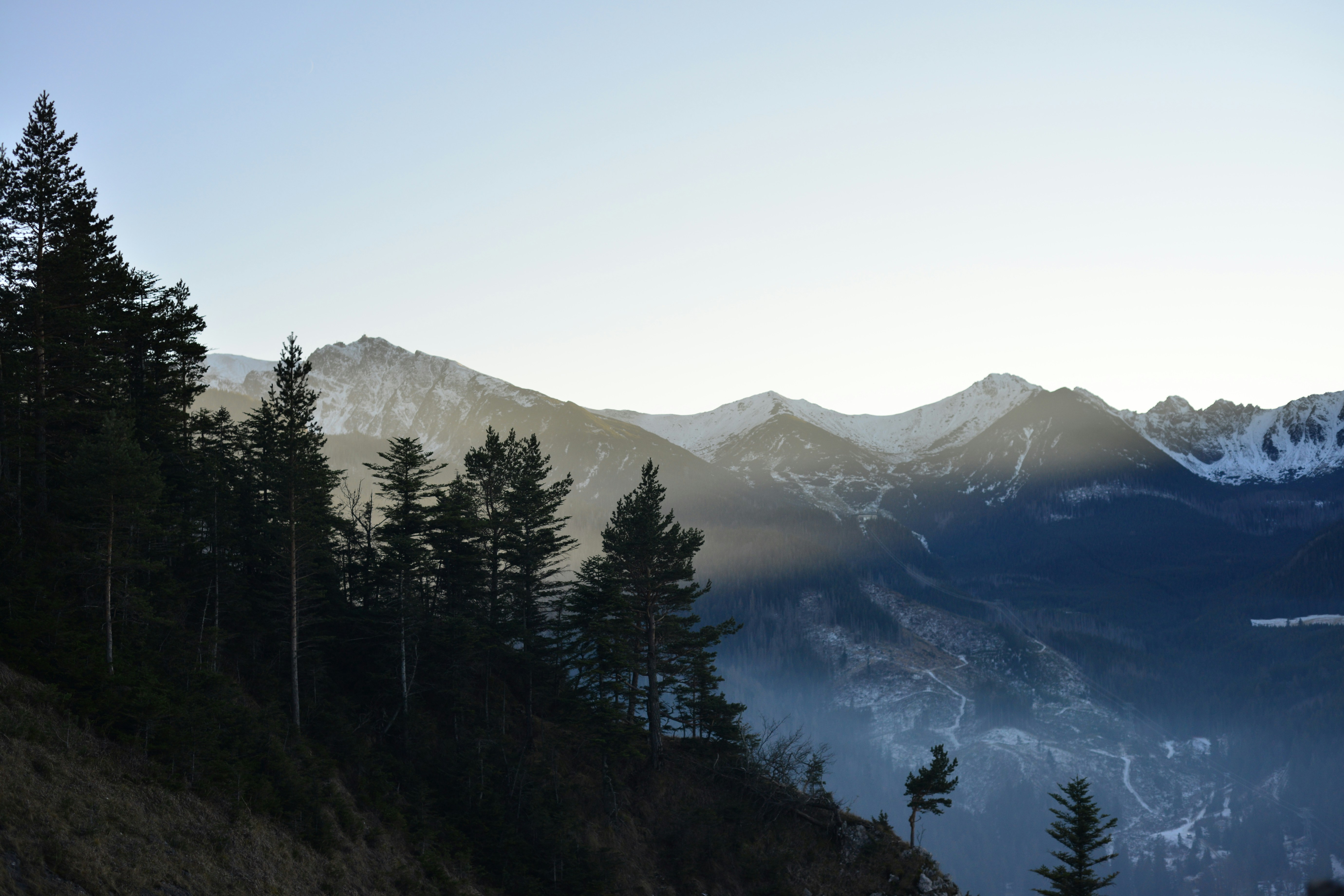 Bergkette mit schneebedeckten Gipfeln im Licht der aufgehenden Sonne, davor dunkler Nadelwald.