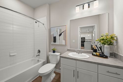 bathroom with white cabinets