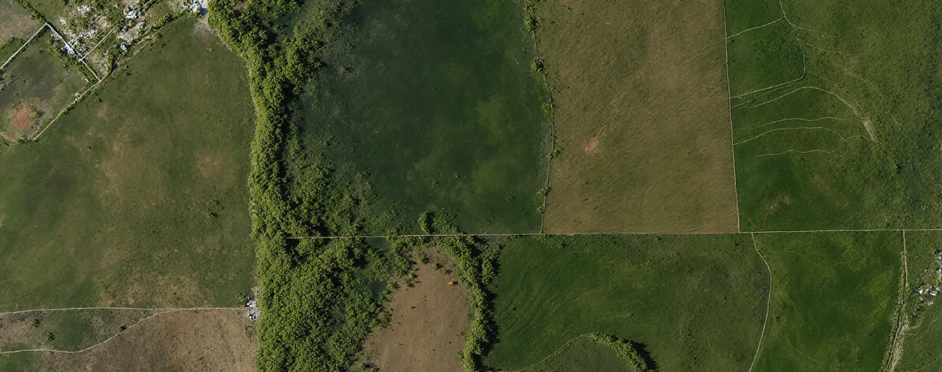 Arial view of a field
