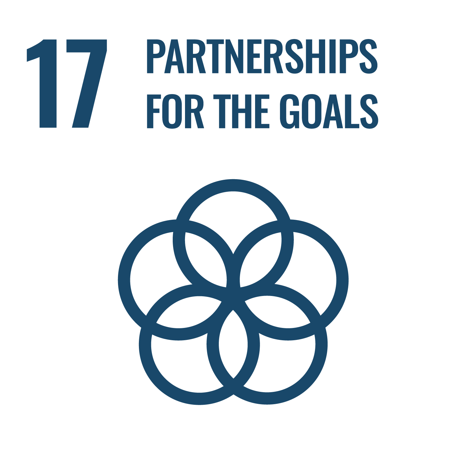 SDG 17: Multi-stakeholder Partnerships