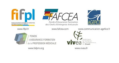 Logos of French professional training funds: FIFPL, FAFCEA, AGEFICE, FAPFM, and VIVEA with their website links.