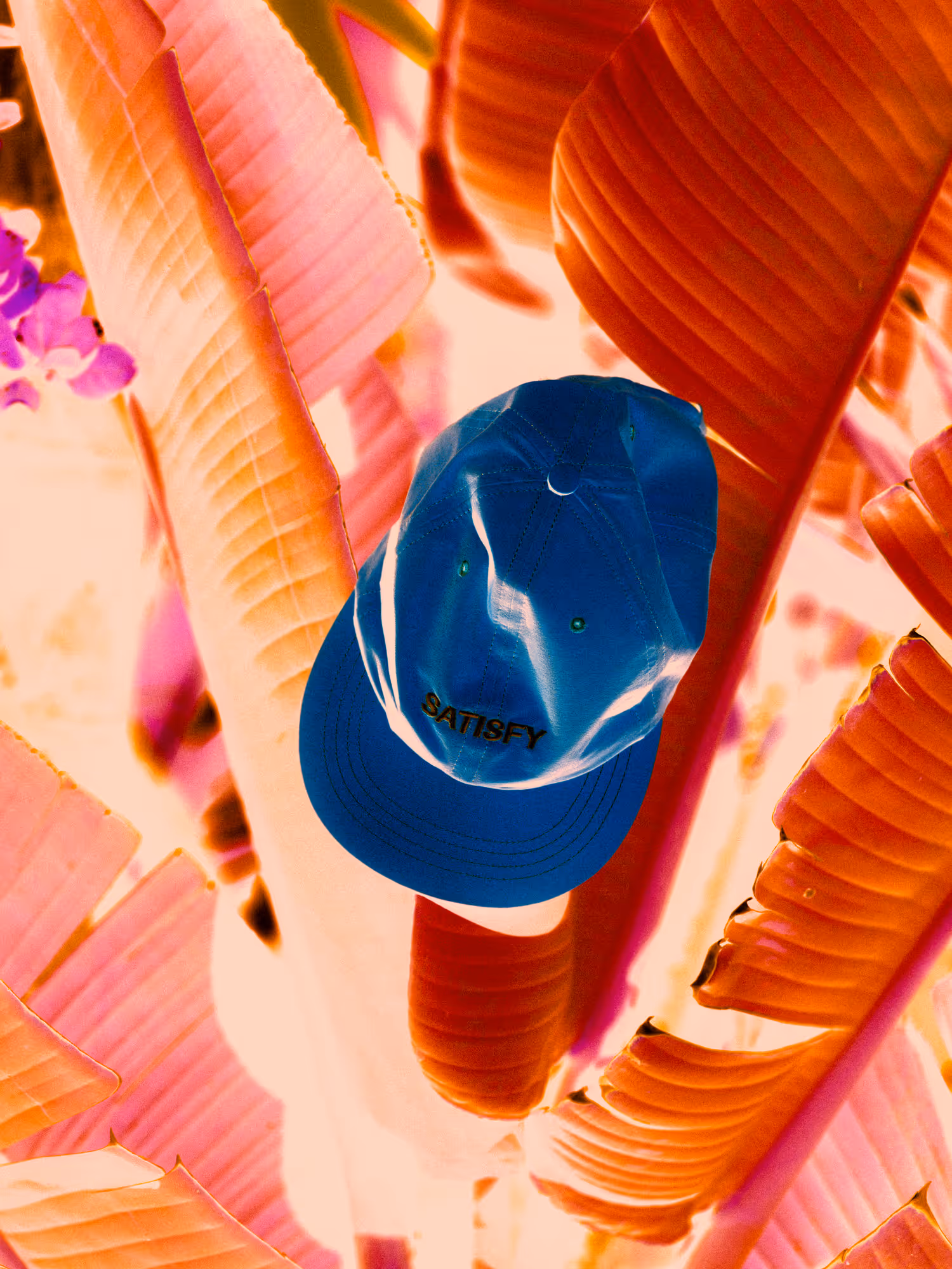 Coloured negative filter on image of a hat in a tree