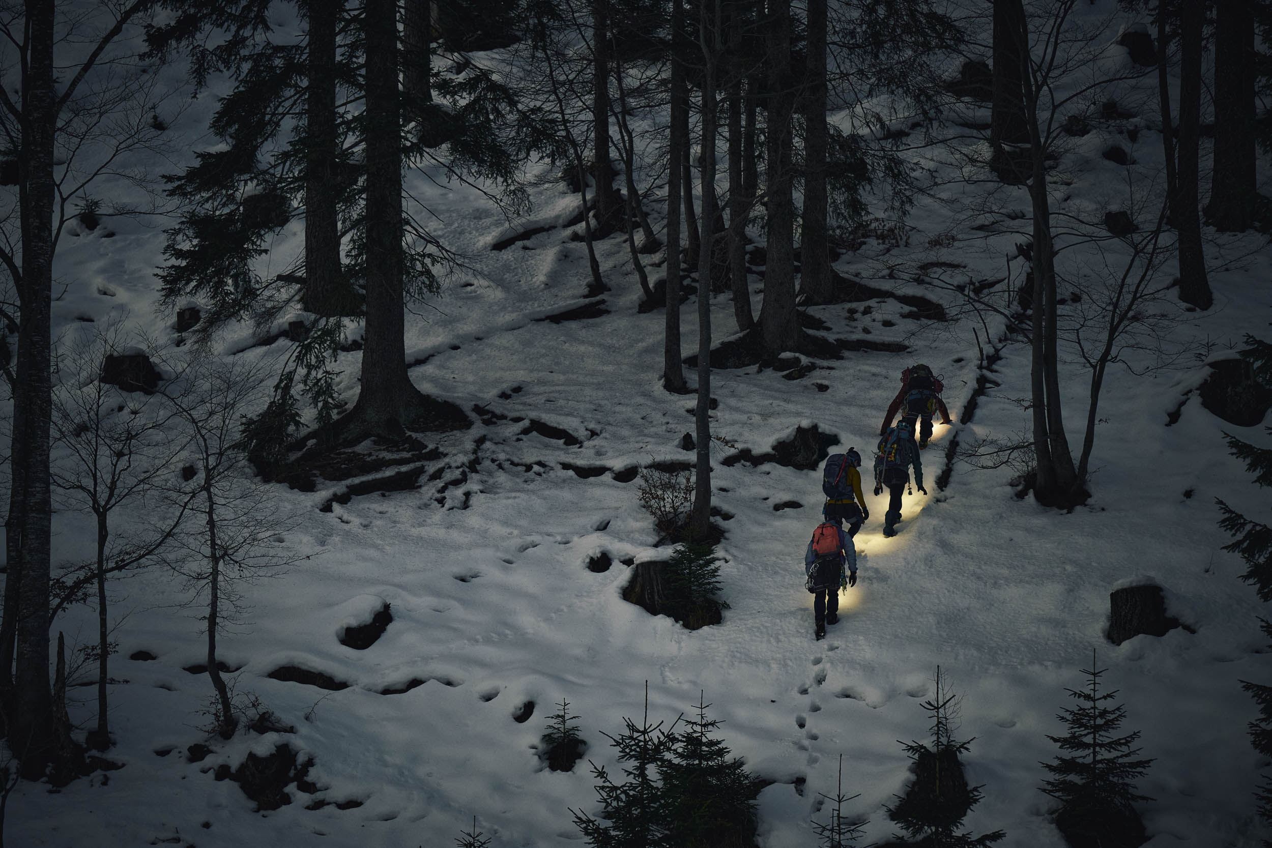 People walking through snowy forest at night