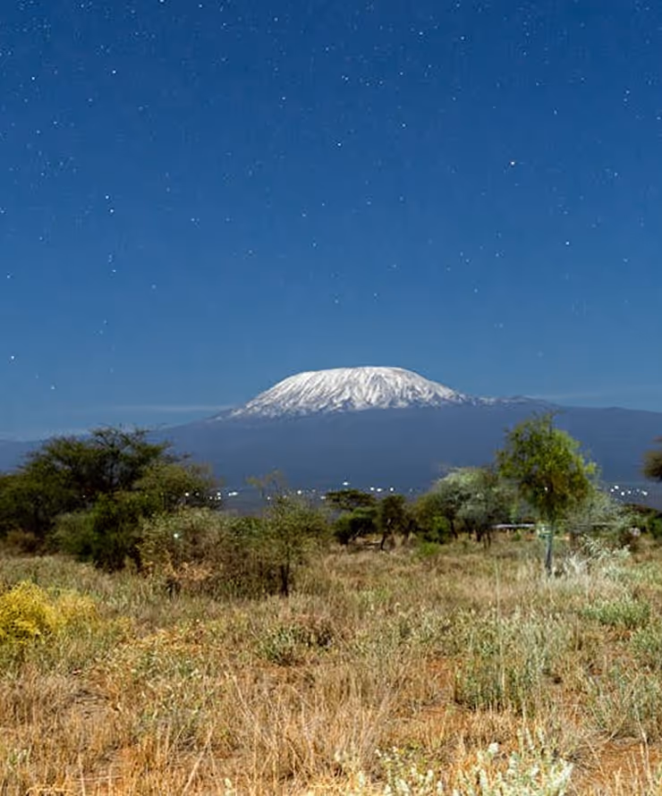 The Best of East Africa & the Seychelles