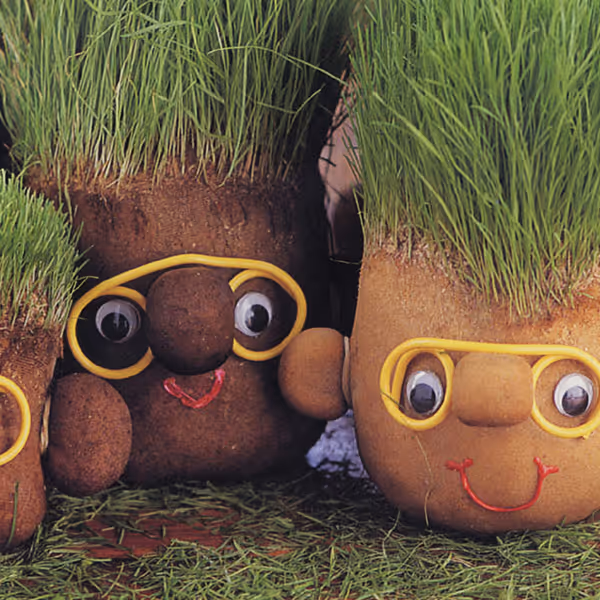 Earth Buddy—a nylon-stocking-covered head filled with sawdust and topped with grass seeds that grew to resemble hair