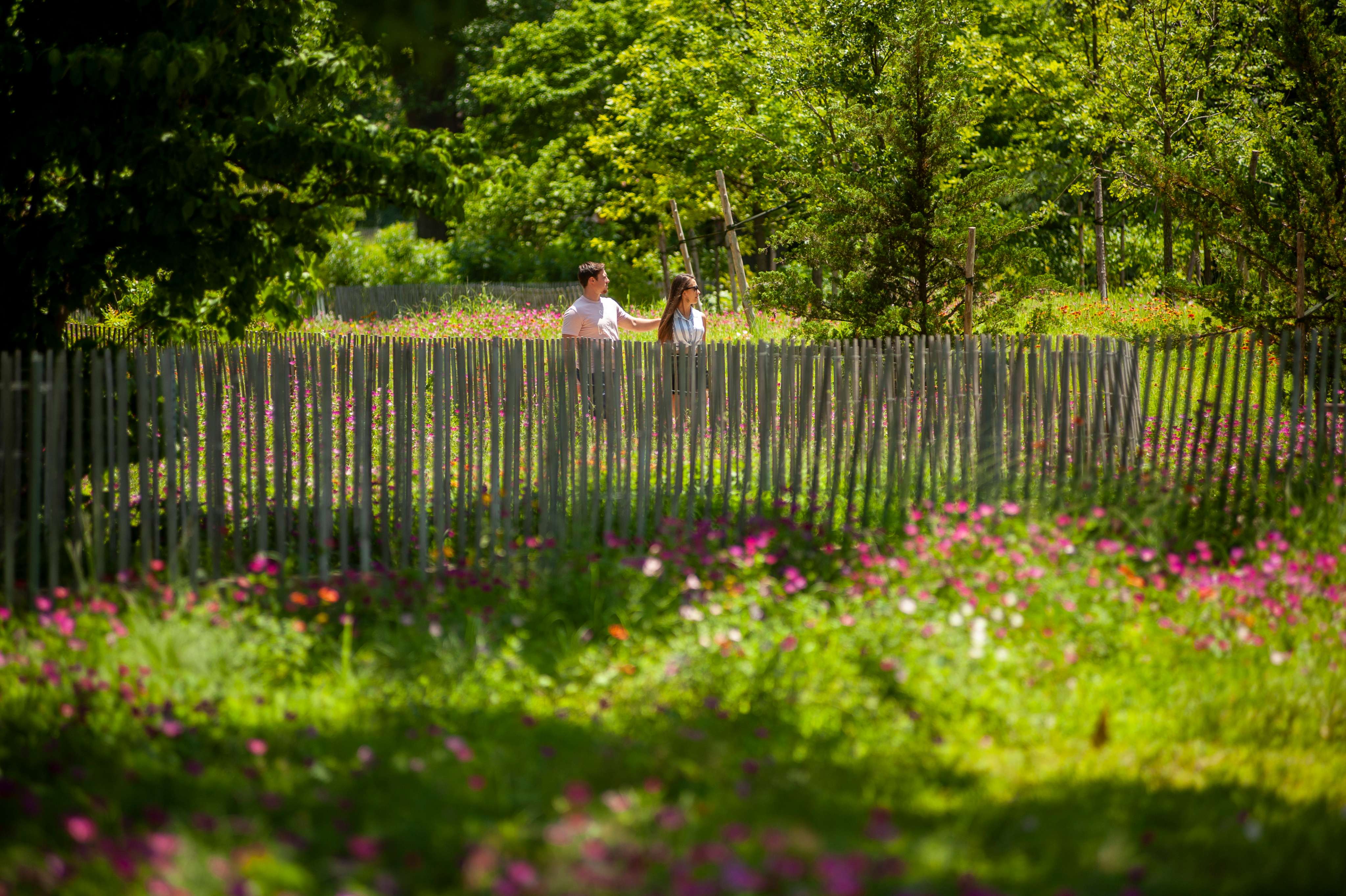 A young couple surrounded by purple blooms and forest greenery on a walk in the park.