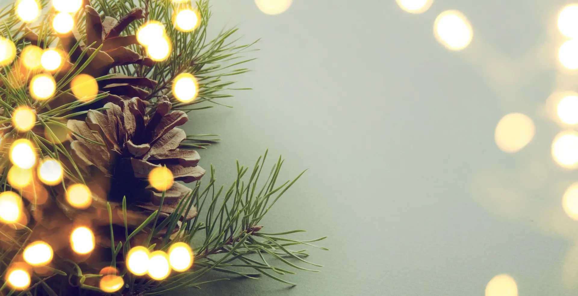 Pine cones and evergreen branches with warm yellow bokeh lights on a soft gray background.