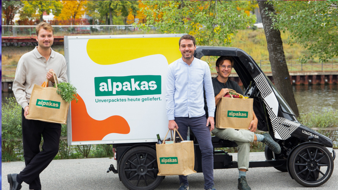 Alpakas