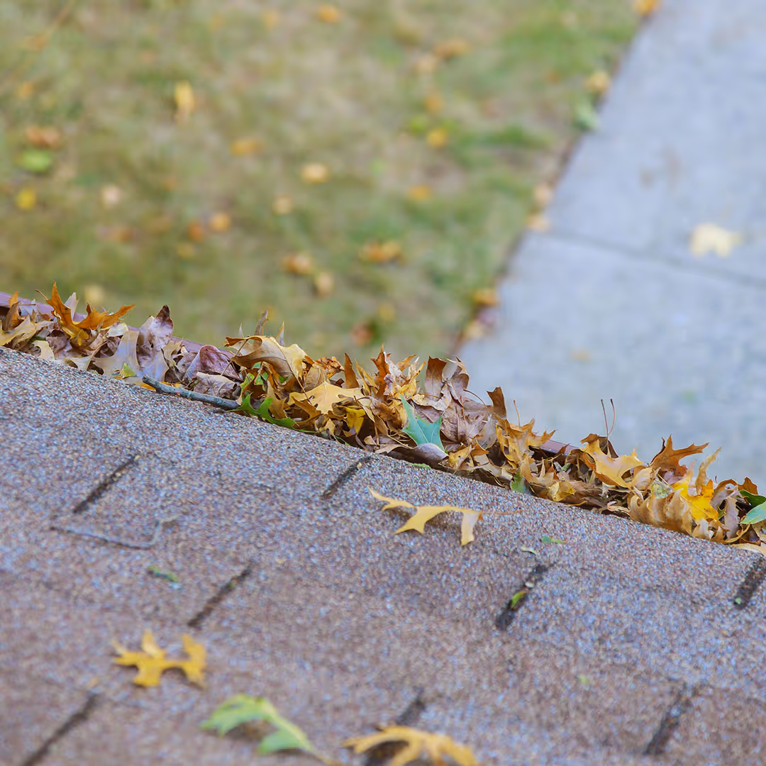 Dirty gutter filled with leaves and debris on a home in Fort Collins