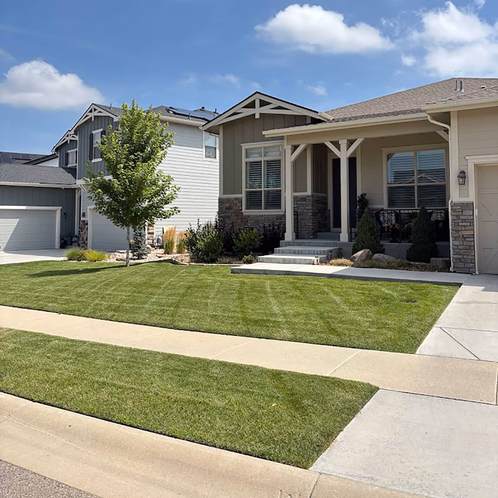 Front yard curb appeal enhanced with professional lawn care in Fort Collins
