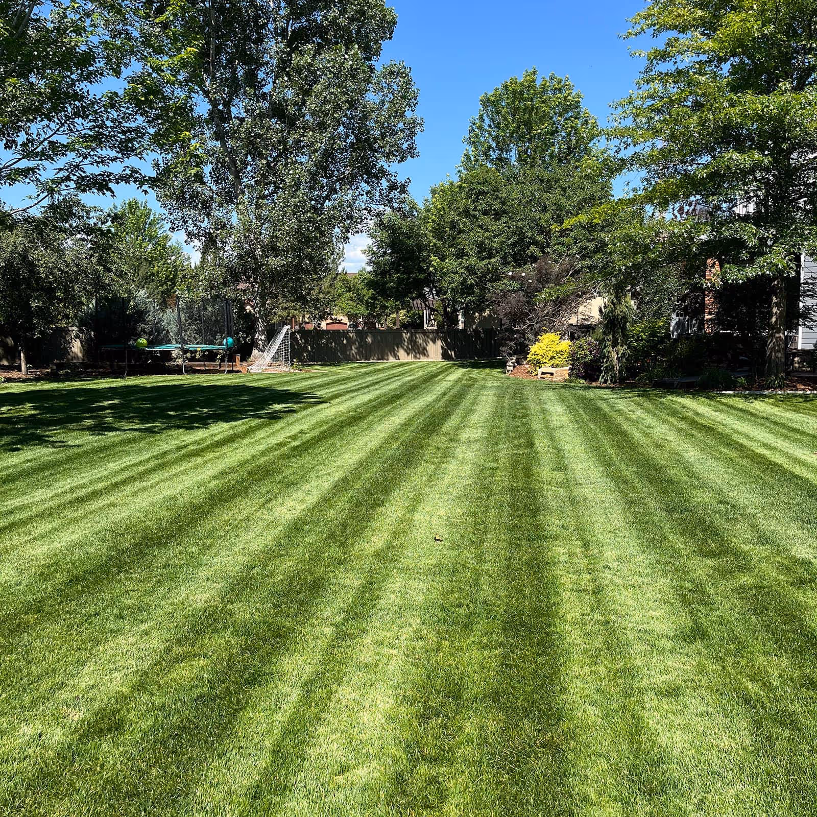 Lawn maintenance with trimming, edging, and debris cleanup
