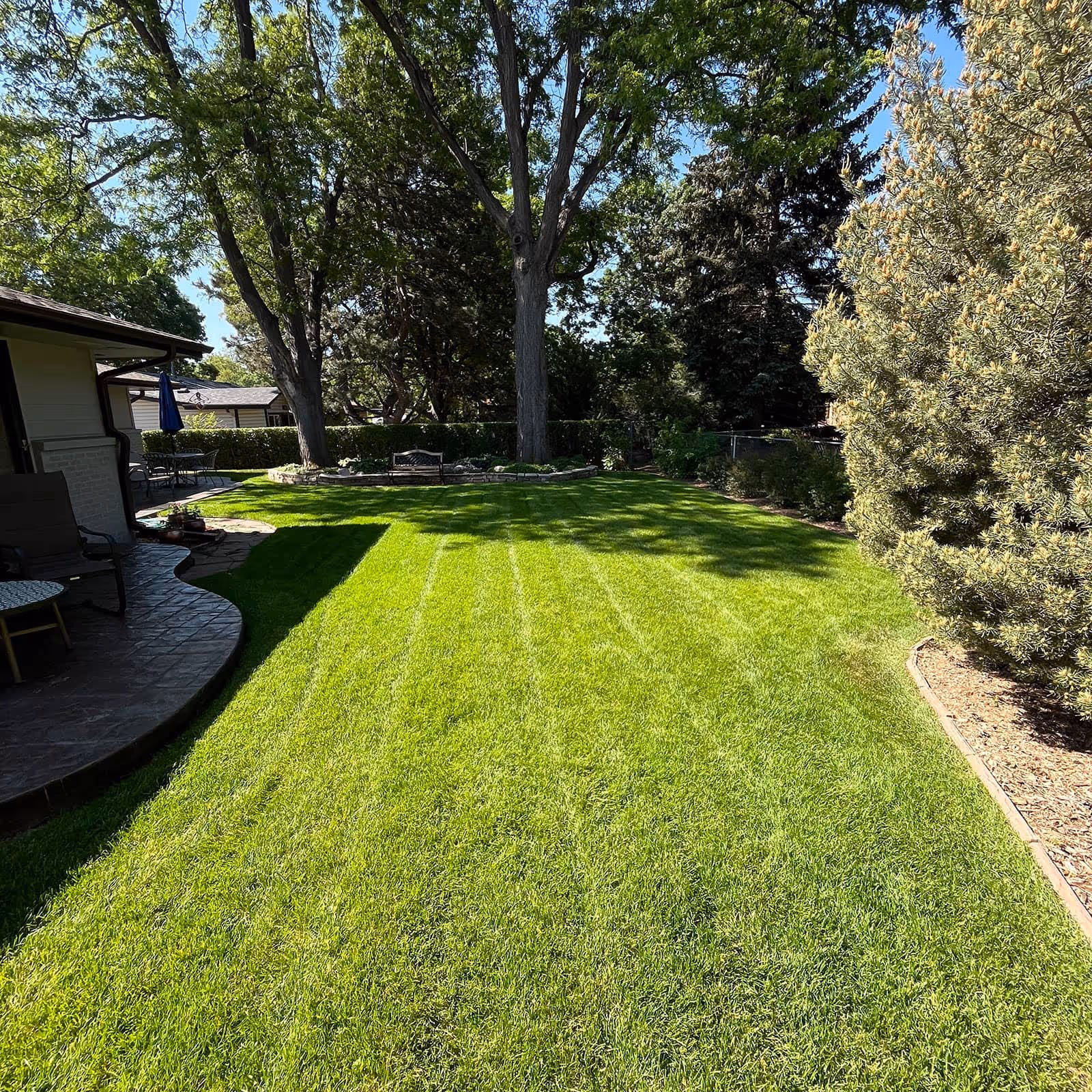 Lawn maintenance service with mowing, edging, and trimming