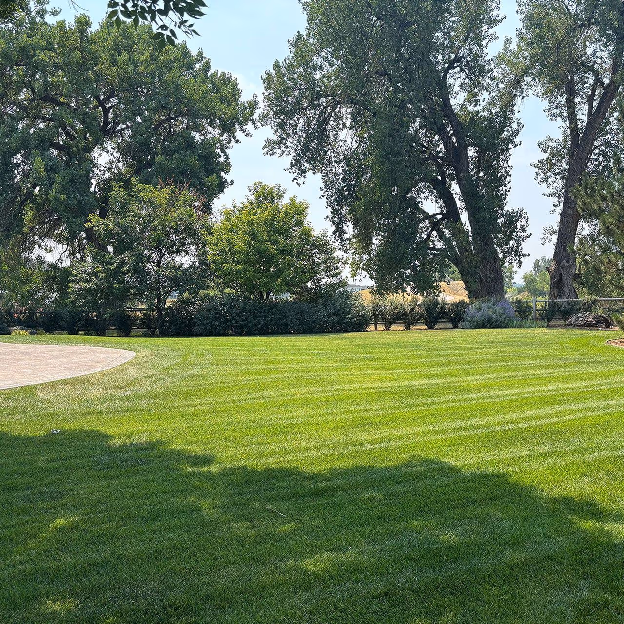Freshly mowed lawn with crisp edging and clean finish