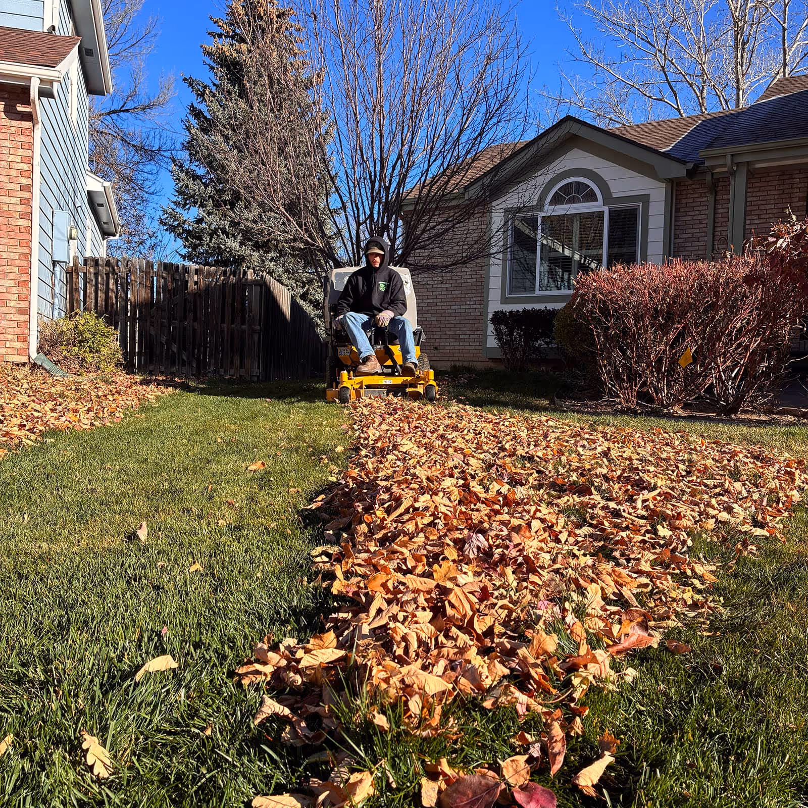 Professional leaf removal during seasonal yard cleanup