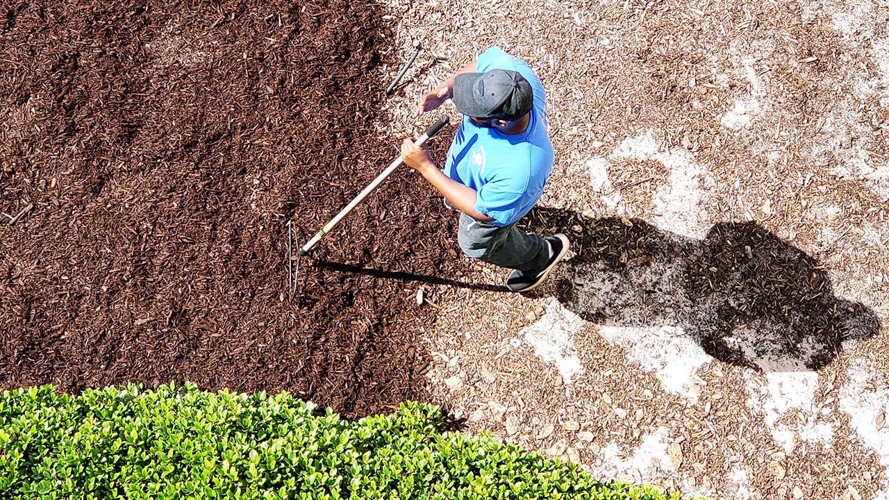 Fresh mulch installation improving landscape beds in Fort Collins
