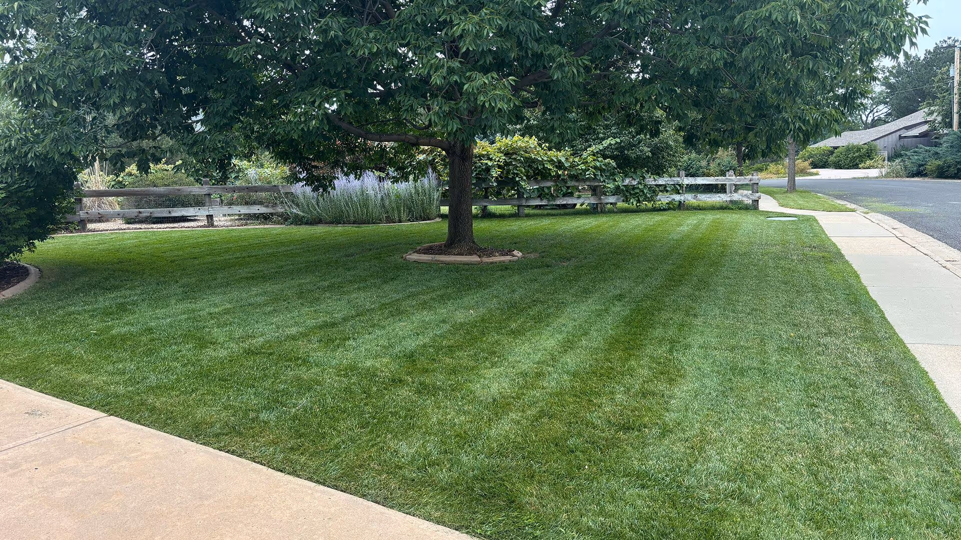 Joel's Lawn Care - Trusted by Fort Collins, Timnath, and Wellington, CO homeowners, Joel’s Lawn Care delivers dependable lawn, landscape, irrigation, lighting, and snow services with unmatched quality.