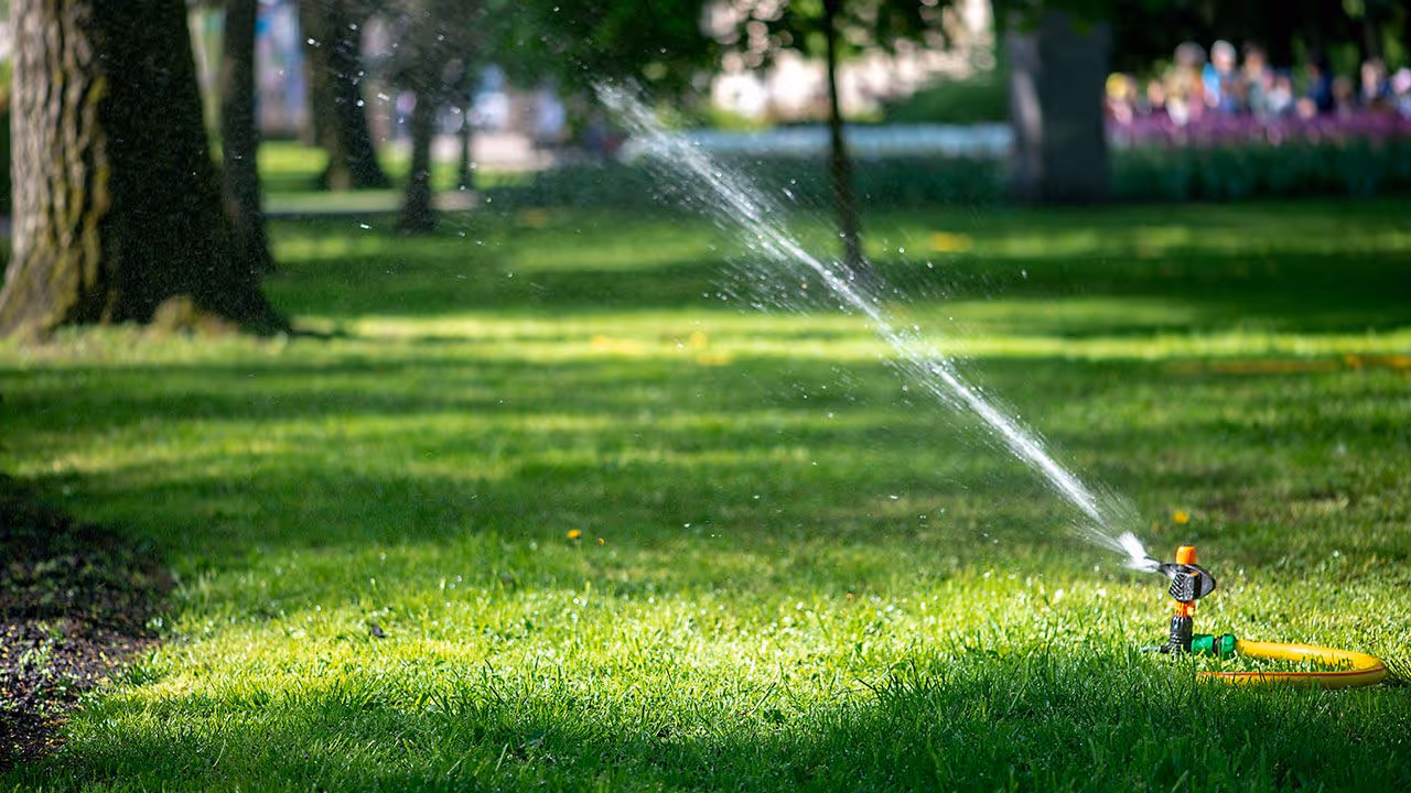 Sprinkler proactive irrigation plan by Joels Lawn Care near me for Timnath, Fort Collins, and Wellington, CO