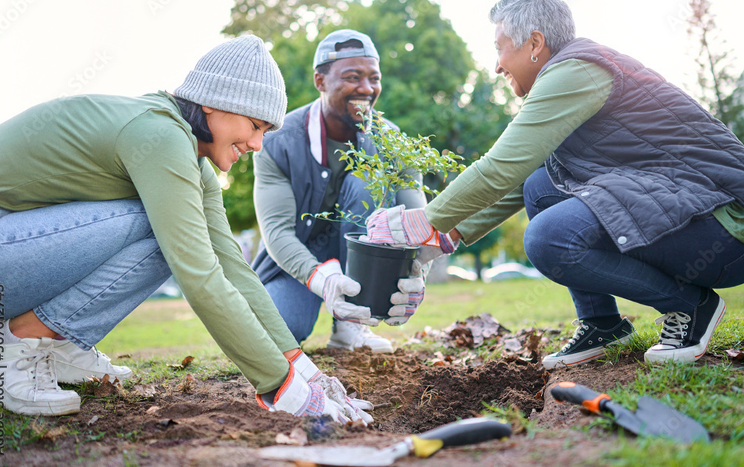 William david homes, home builder