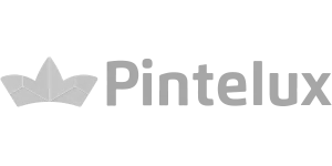 Pintelux brand logo with stylized geometric crown icon to the left of the text.