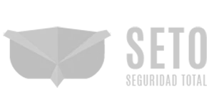 SET-O Seguridad text logo with a stylized geometric leaf design to the left.