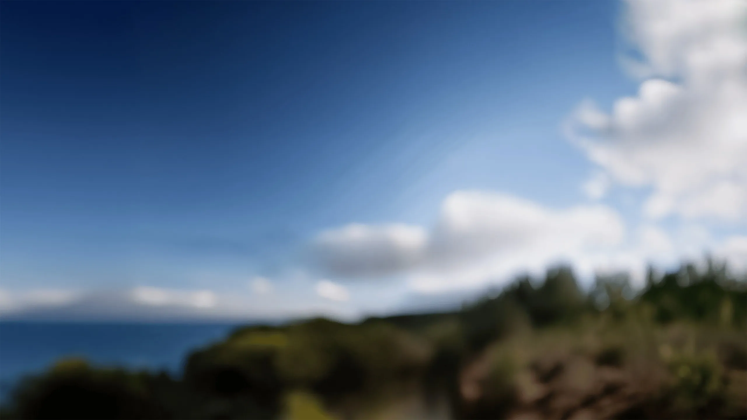 Out of focus scenic background.