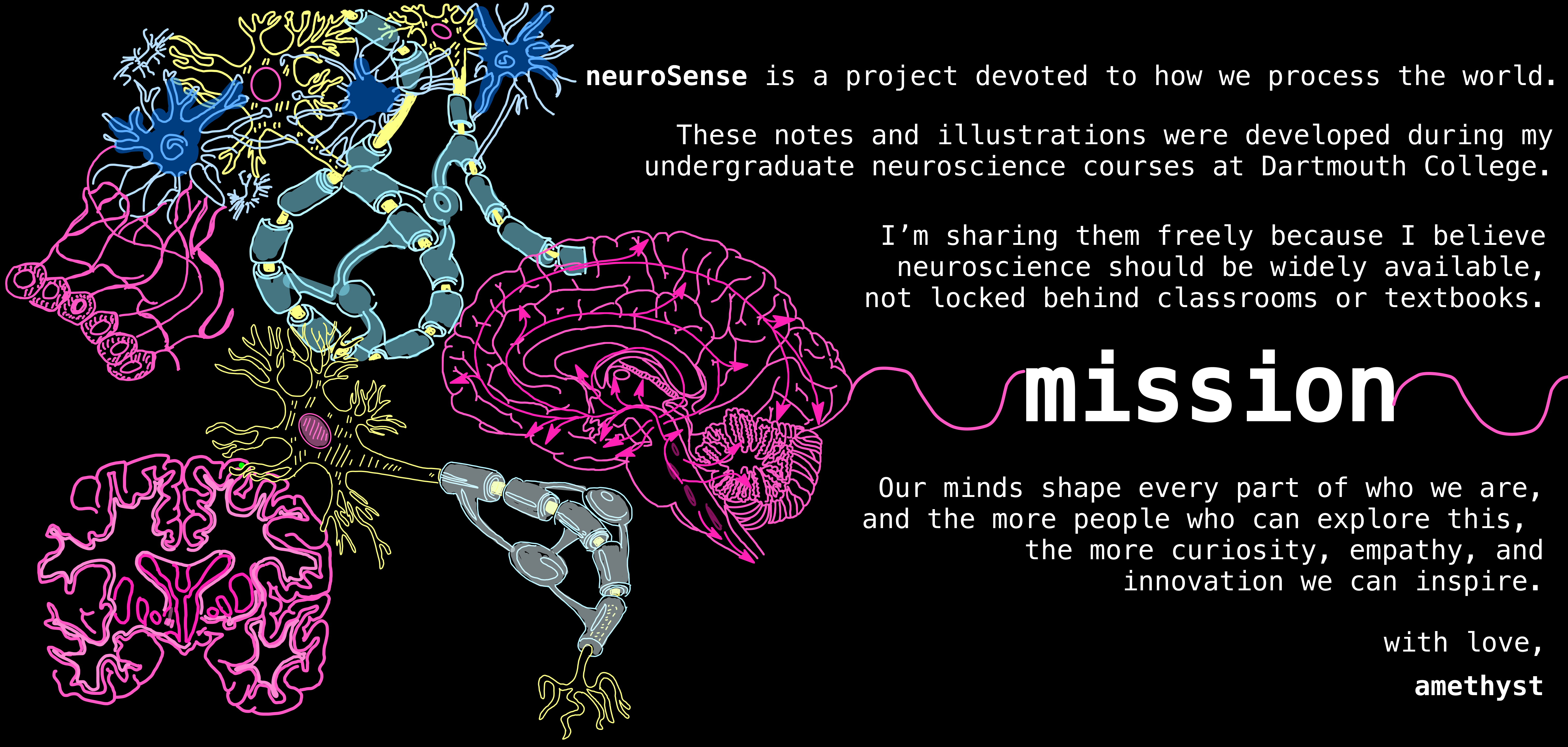 neuroSense is a project devoted to how we process the world. These notes and illustrations were developed during my undergraduate neuroscience courses at Dartmouth College. I’m sharing them freely because I believe neuroscience should be widely available, not locked behind classrooms or textbooks.   Our minds shape every part of who we are, and the more people who can explore this,  the more curiosity, empathy, and innovation we can inspire. with love, amethyst