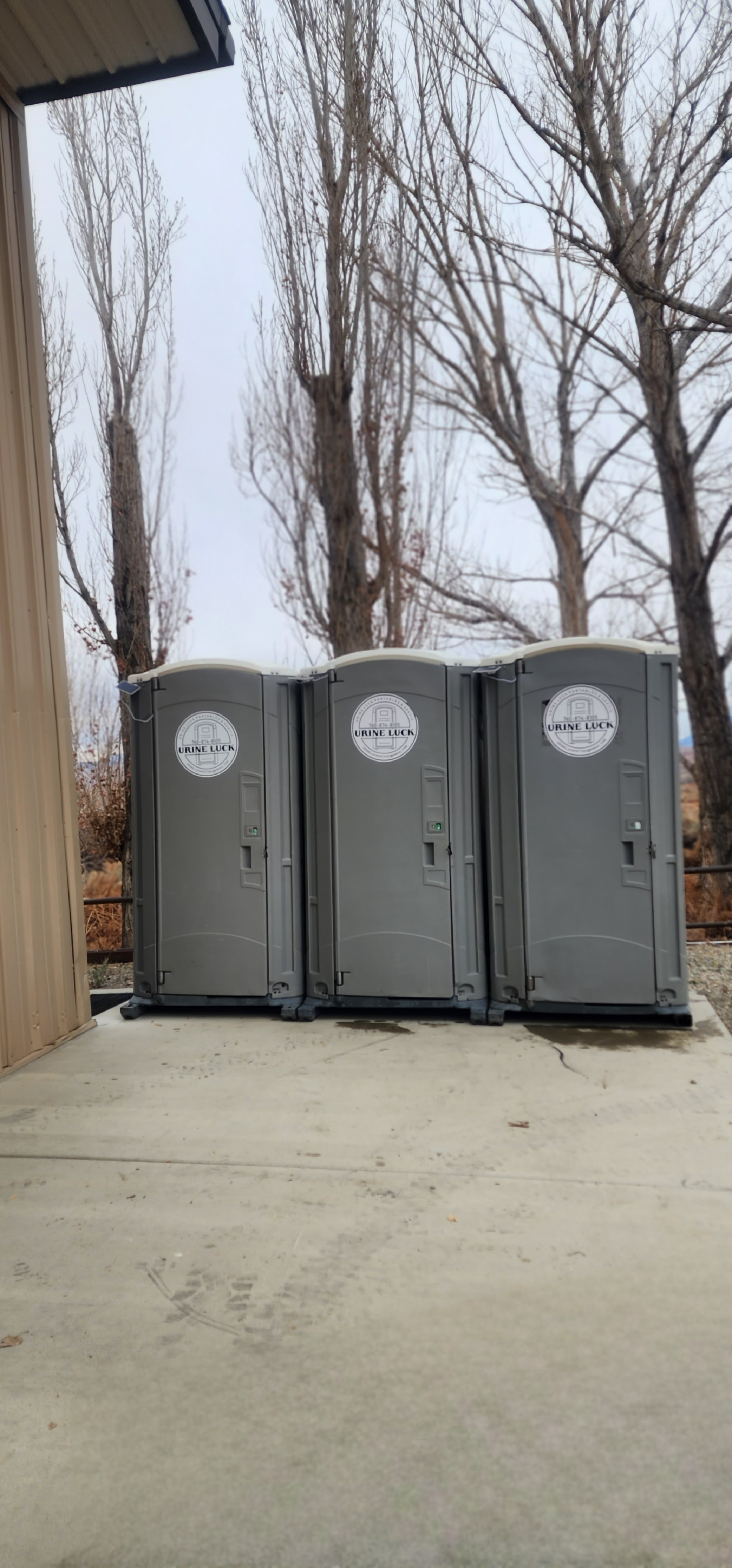 Three gray portable toilets lined up outdoors on a concrete surface with leafless trees in the background.