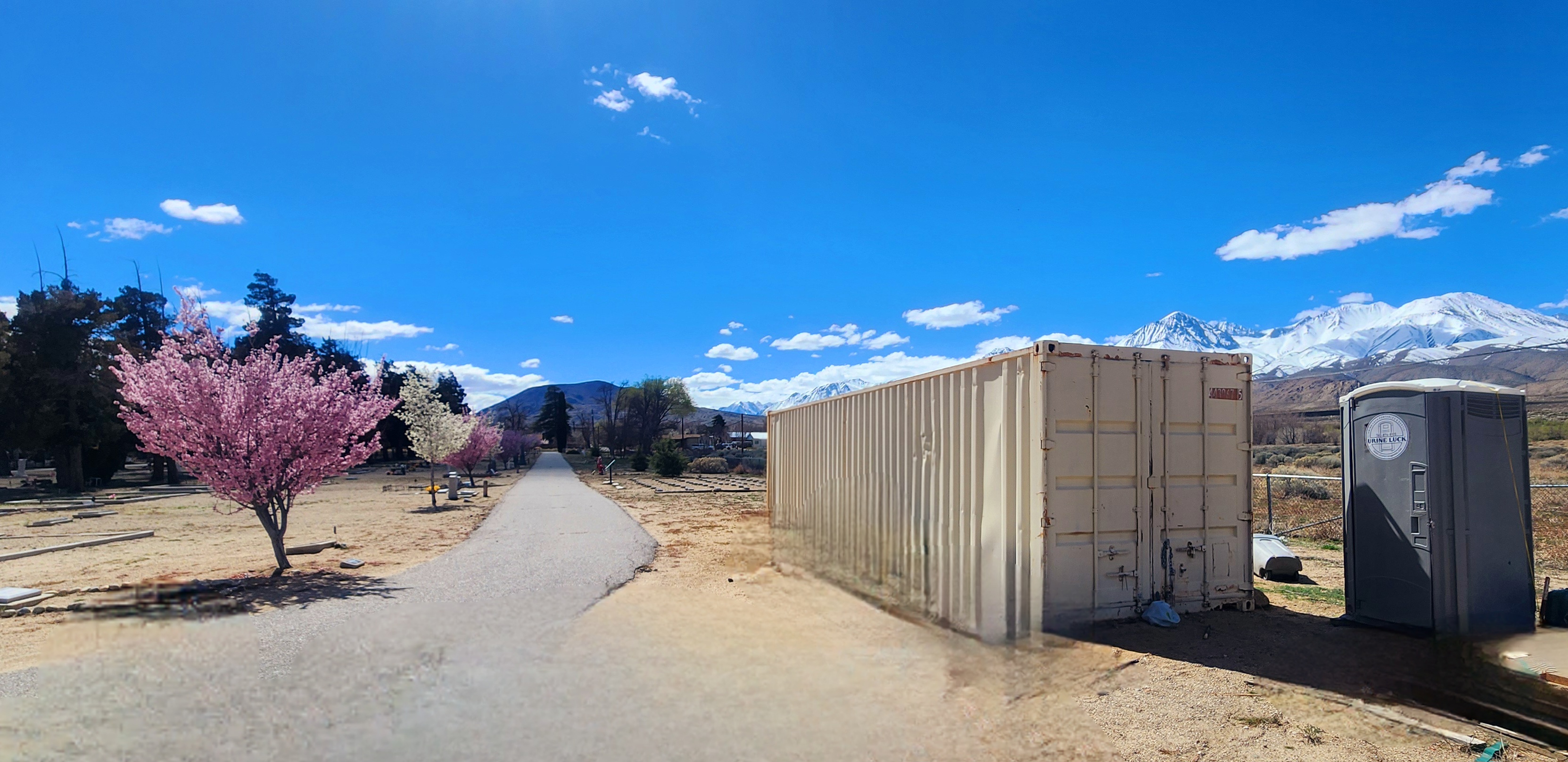 Pathway lined with blooming pink and white trees on the left, a large beige storage container and a portable toilet labeled 'Urine Luck' on the right, with snow-capped mountains under a blue sky in the background.