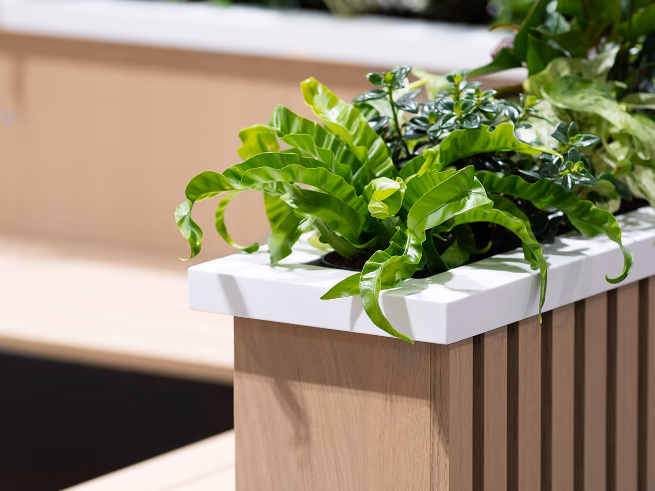 custom trade show exhibit lounge bench with plants